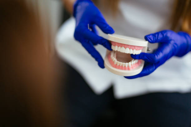 Best Wisdom Tooth Removal  in Fern Park, FL